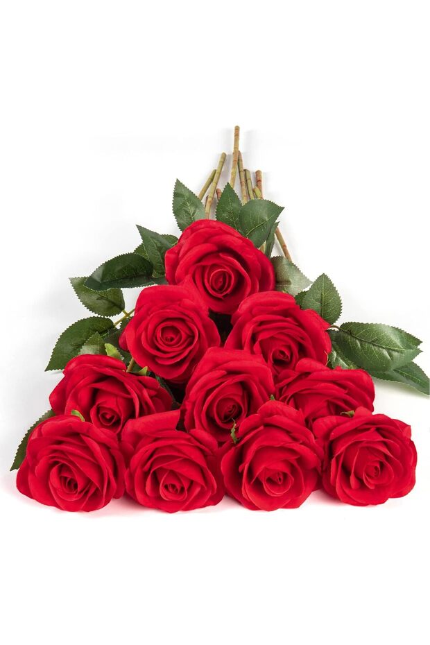 DuHouse Artificial Silk Roses Long Stem (Red) - 10 pcs