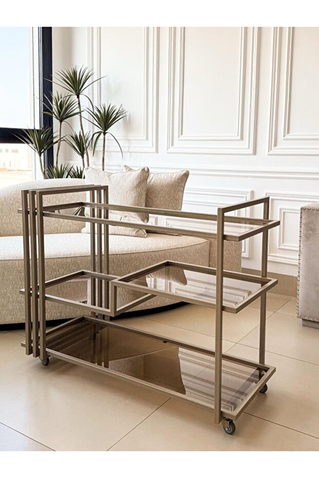 Modern trolley - 1