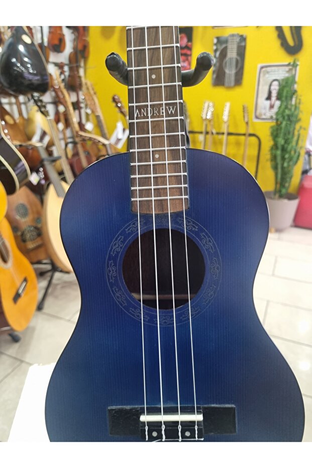 Tenor Ukulele - 2