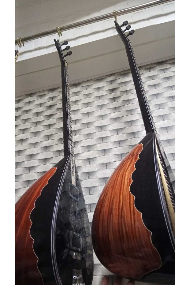 Profesyonel Elektro - 2