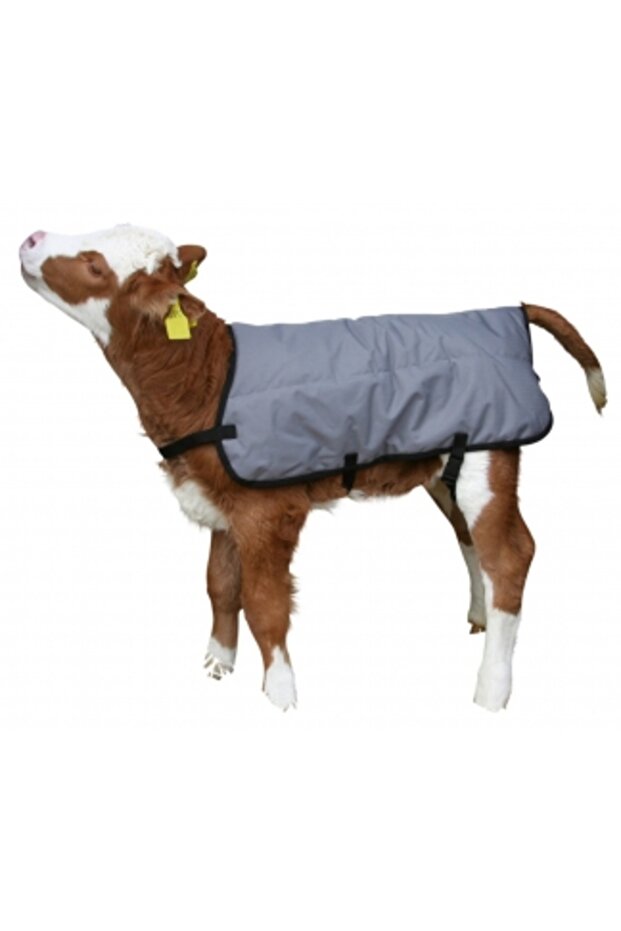 Ripstop calf blanket - 1