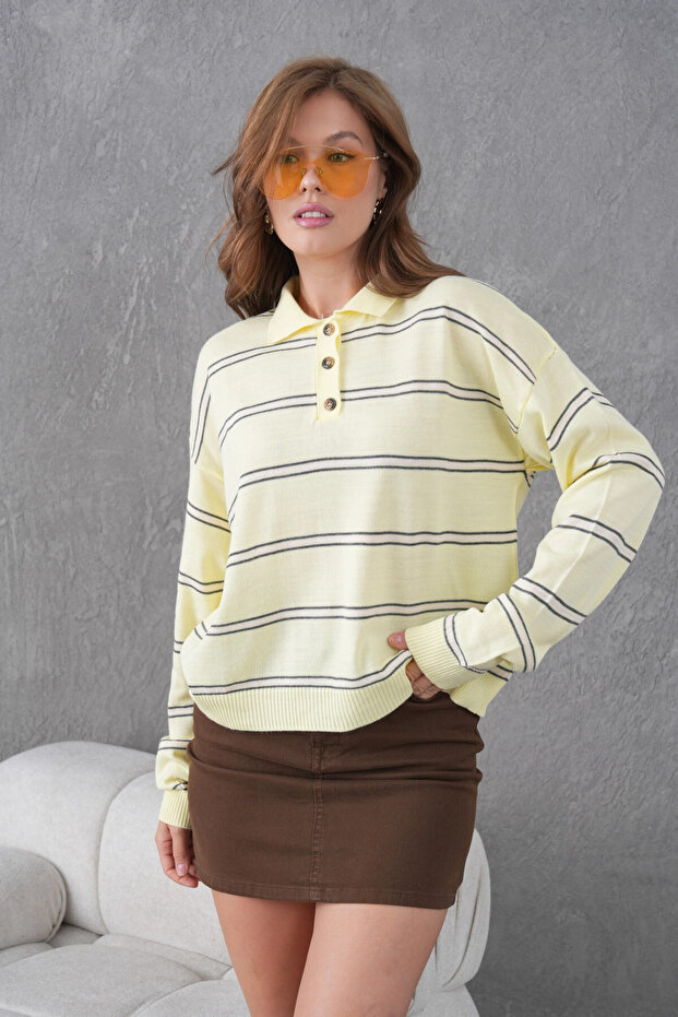 Women's Polo Neck Half Placket Button Closure Striped Knit Sweater