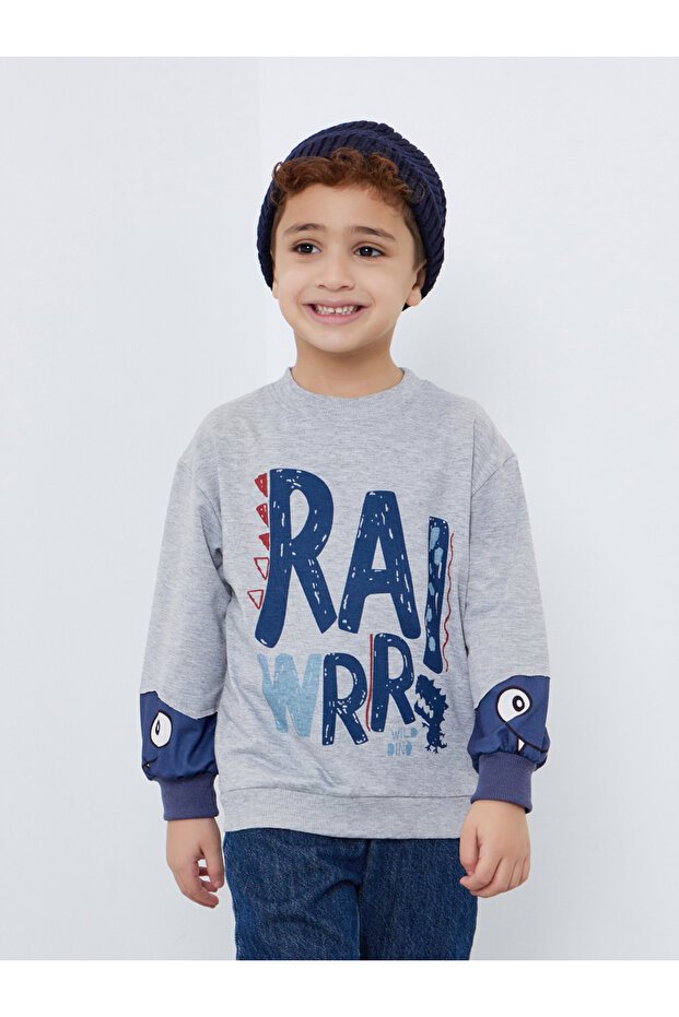 Graphic Print Sweatshirt with Dino Sleeve Detail