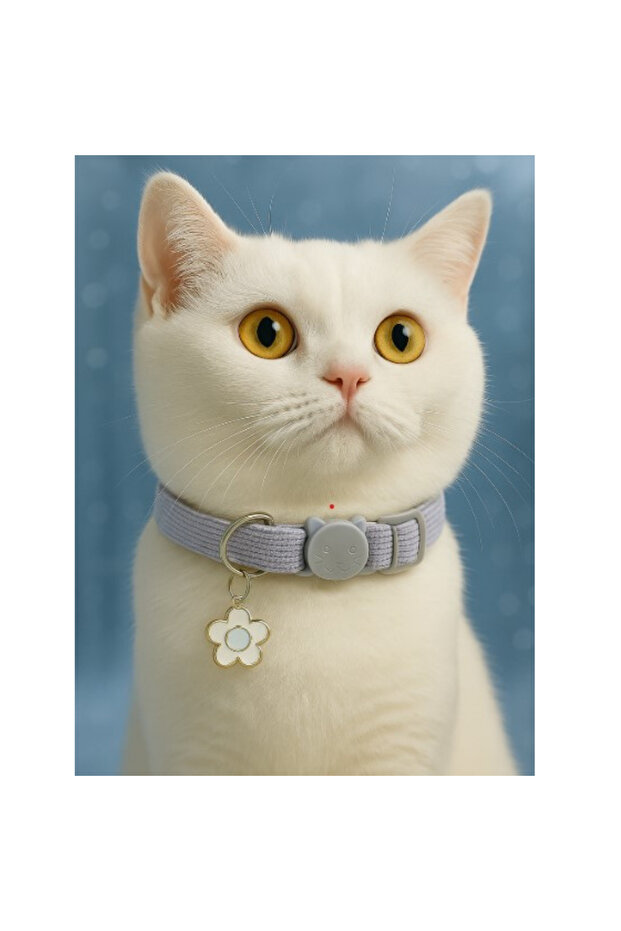 Flower Pendant Cat Collar – Adjustable, Rattle, with Safety Buckle (Pink / Blue)