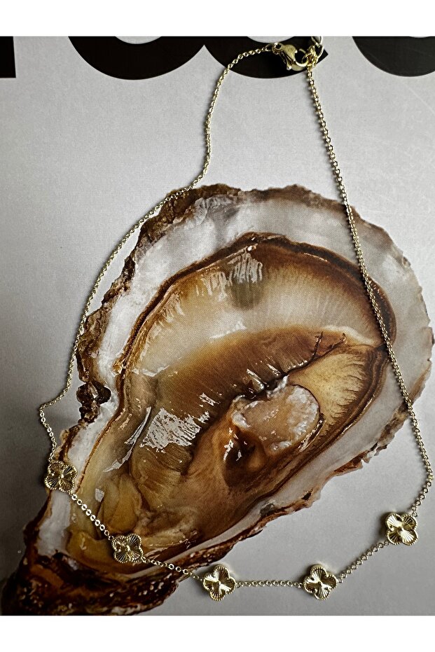 yonca çelik kolye - 4