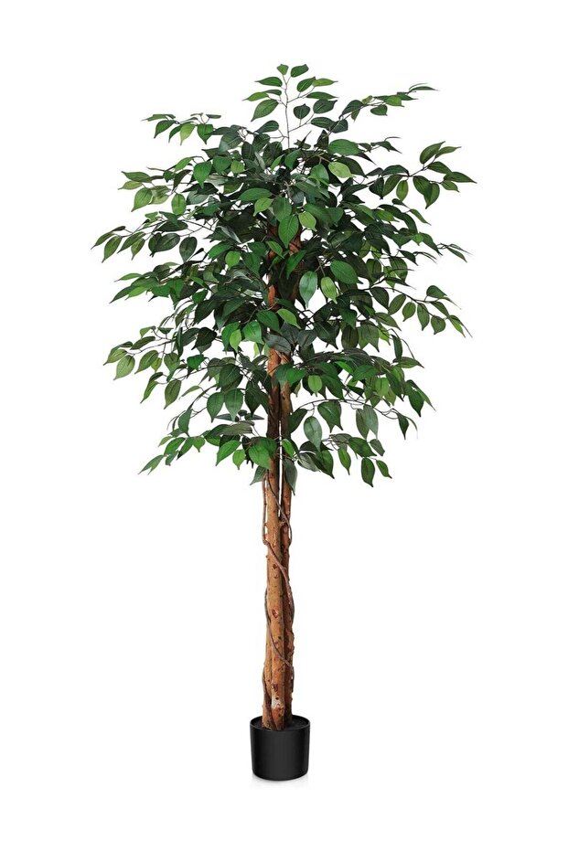 Artificial Ficus Tree 160cm Tall Fake Plant with Moss & Pot