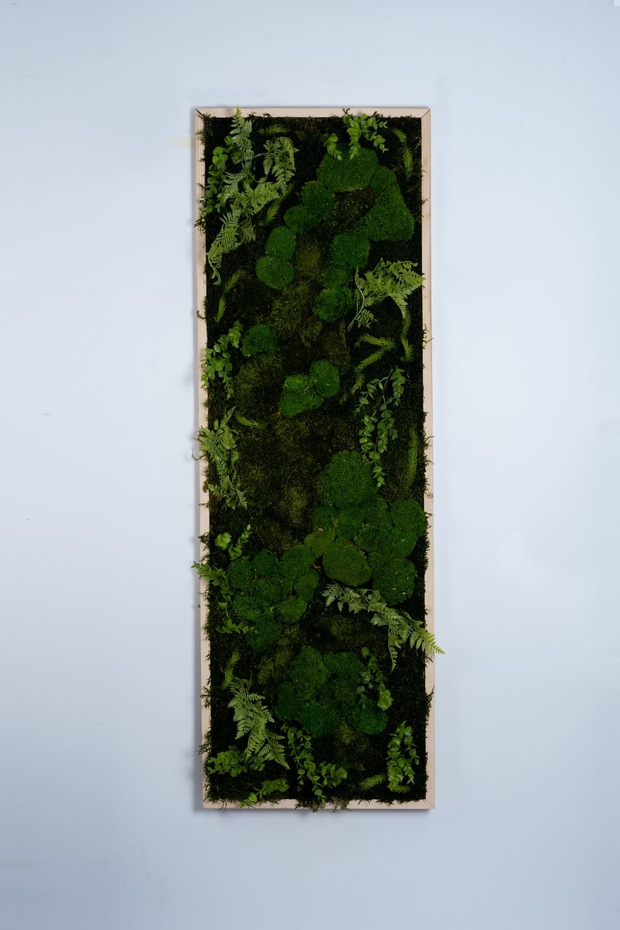 Vertical Forest Moss Panel - 2