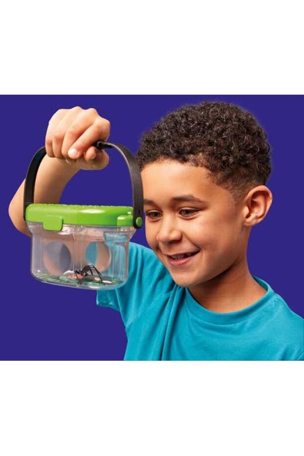 The Insect Observatory - 5