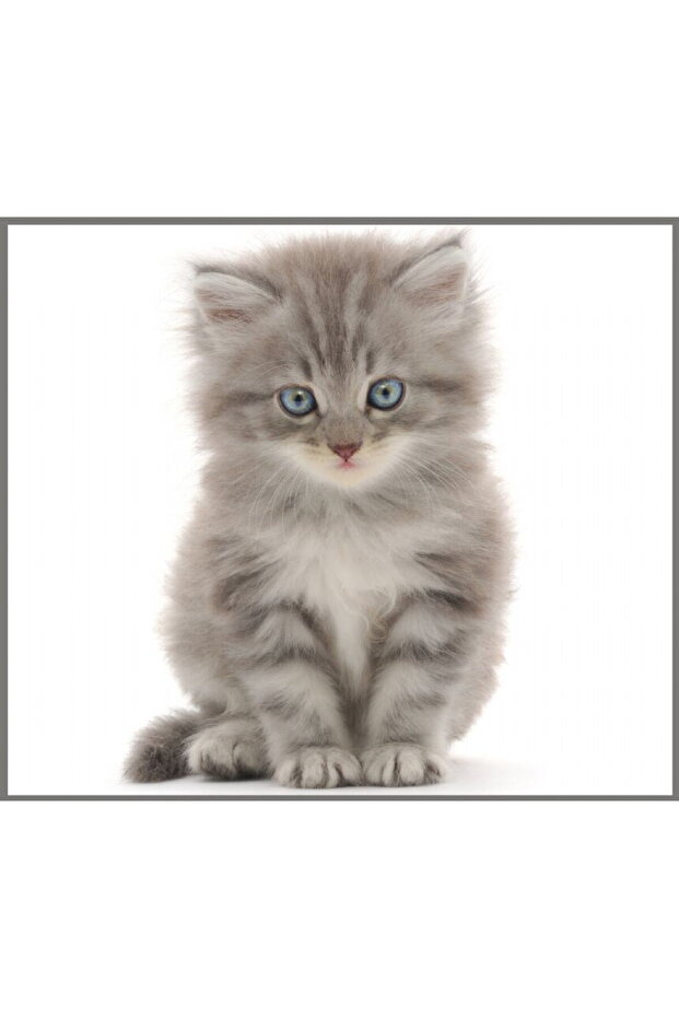 Flashlight projector - Cute animals - 6