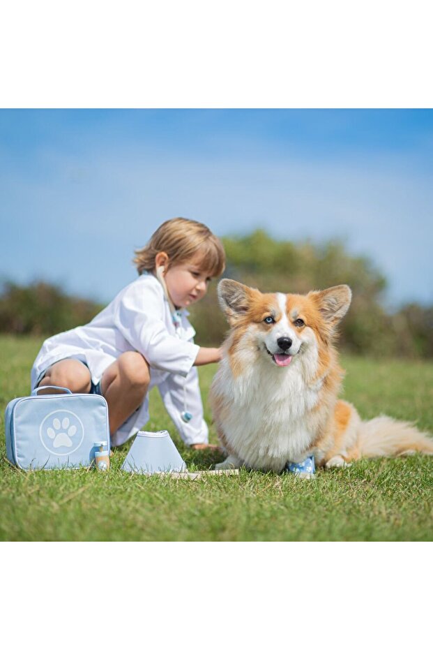 Setul micului veterinar - 2