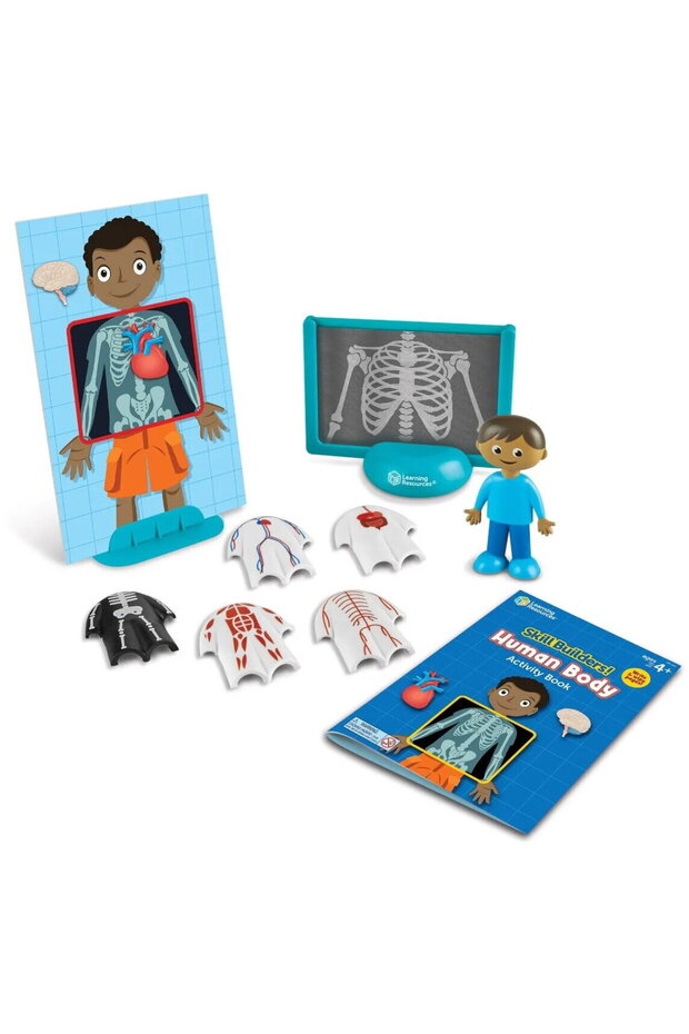 Educational activity set - Human body - 2