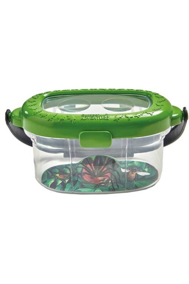 The Insect Observatory - 2