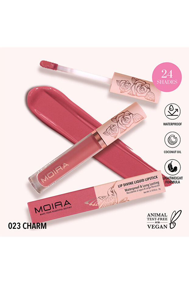 Lip Divine Liquid Lipstick (023, Charm)