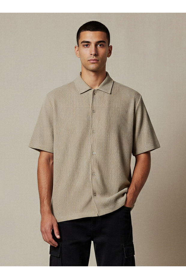 Men Regular Fit Crew Neck Short Sleeve Textured Shirt