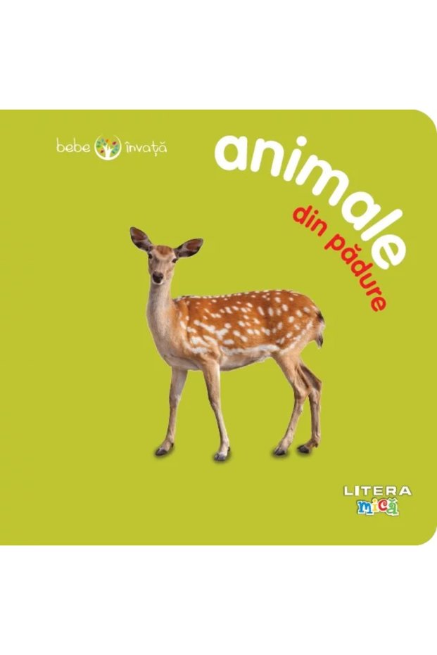 Bebe învață: Animale din pădure