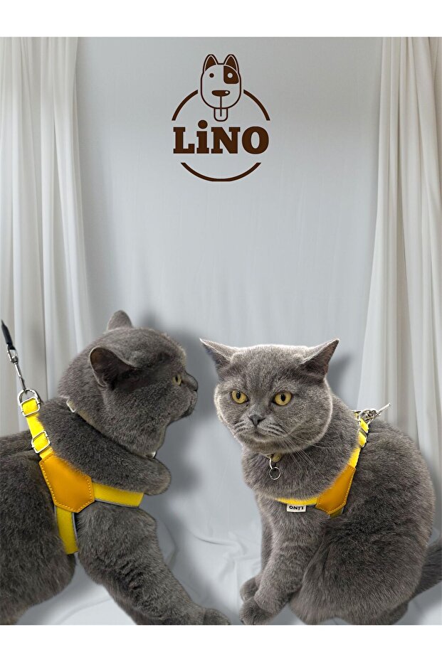 göğüs tasması - 3