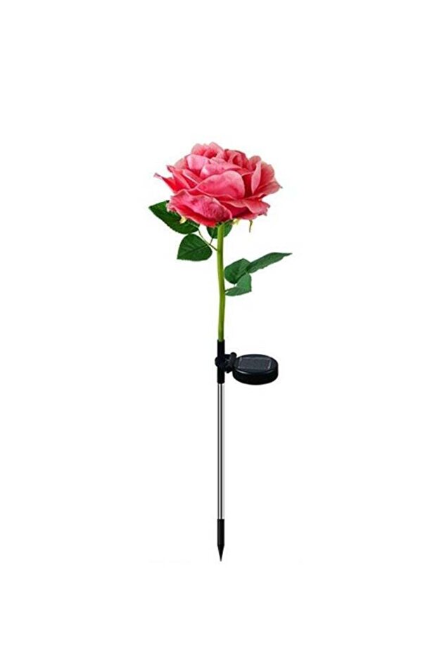 Solar Garden Lights Outdoor – Waterproof LED Decorative Flower Stakes (2 Pack)