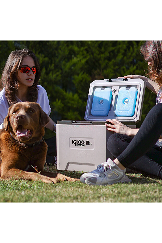 Coremax 22 Buzluk 22 Litre - 6