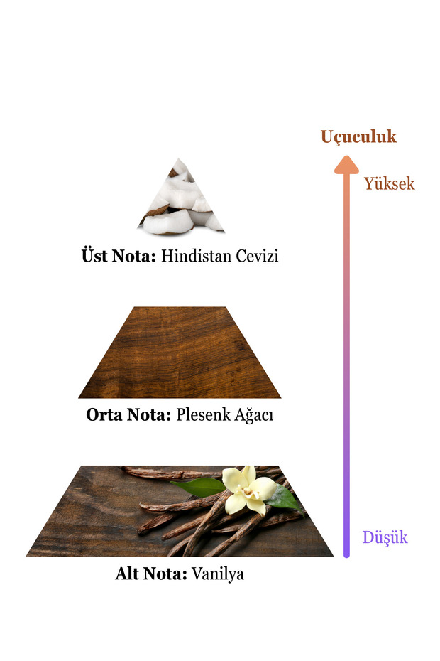 Beatrix Kadın Parfüm 100 ml Edc - 4