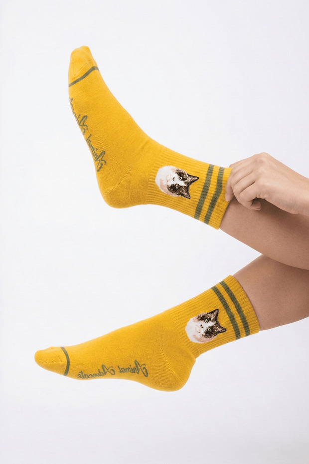 جوارب طويلة منقوشة على شكل قطة - جوارب منقوشة - جوارب طويلة صفراء - 1