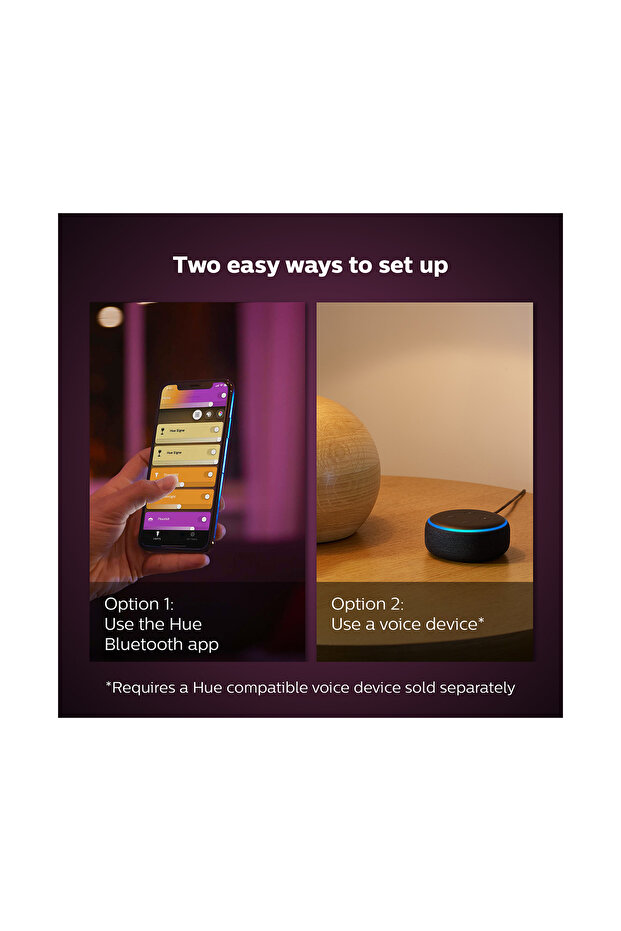 Hue Iris Gümüş Akıllı Masa Lambası - 7