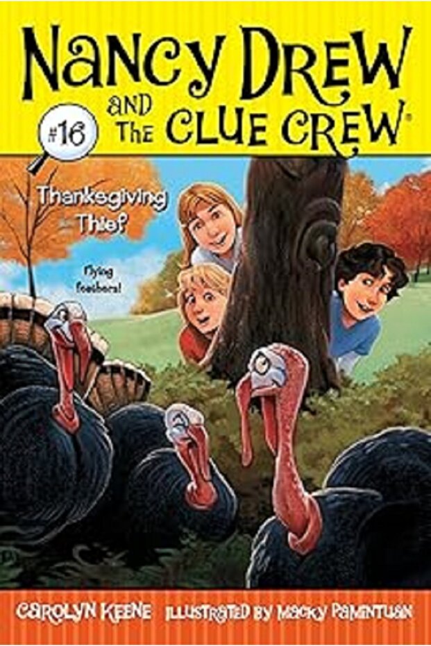 Thanksgiving Thief (Volume 16)