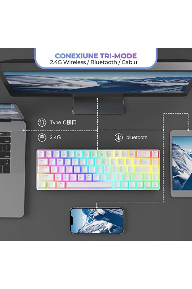 Timebox Gaming Pack: Wireless 60% Mechanical Keyboard (Red Switch ...