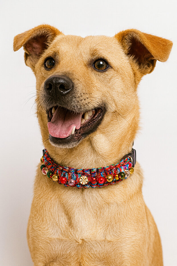 New Year's Special Handmade Paracord Dog Collar – 40–50 cm Adjustable (Red-Green-White and Gold)