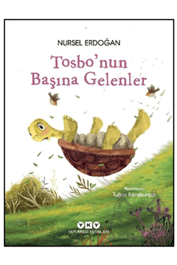Tosbo’Nun Başına Gelenler