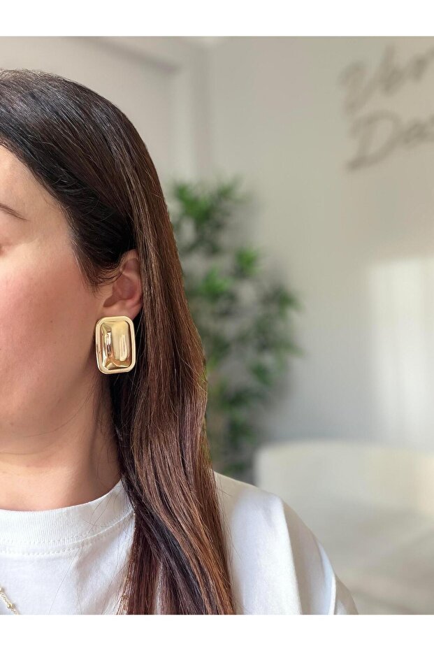 Çelik Carry Küpe - 2