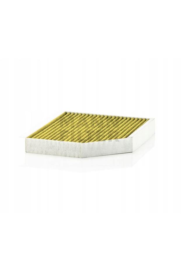 Cabin Filter Filter, FP 2450 - 2