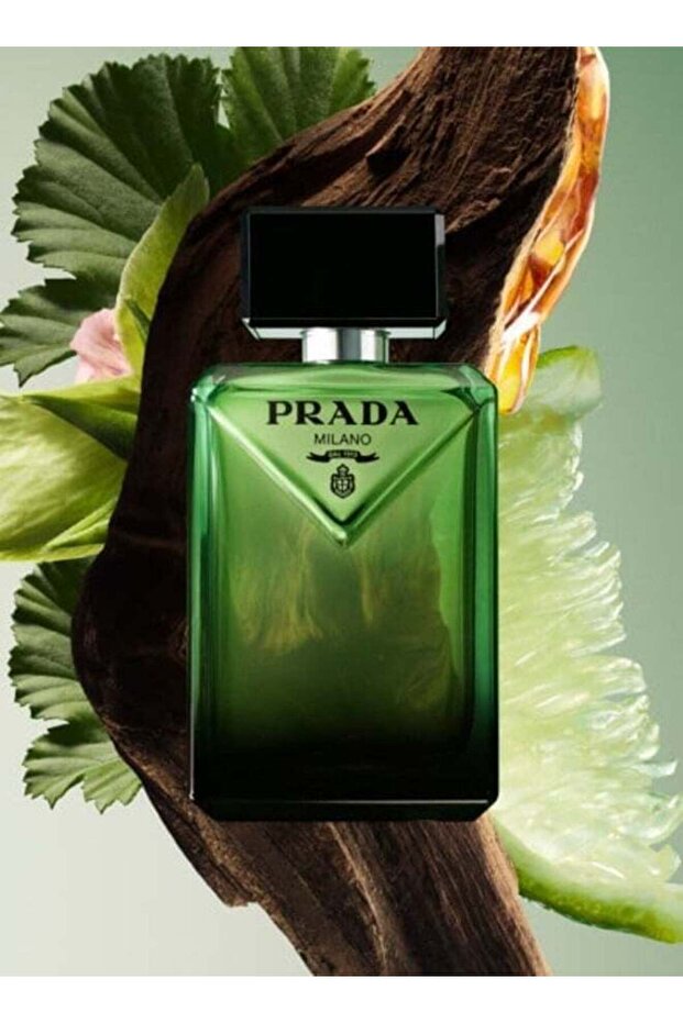 Paradigme EDP 100ml