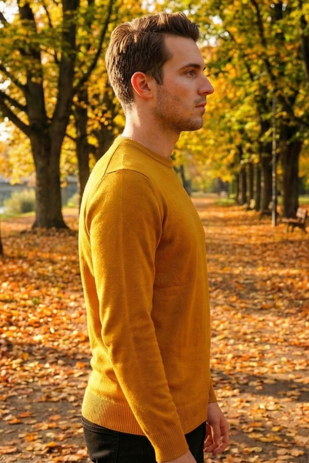 Pulover bărbătesc casual - 3