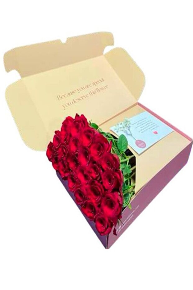Beauty roses