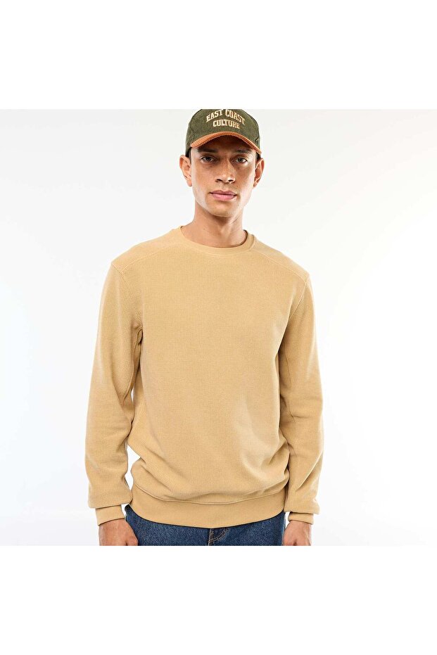 Regular Fit Knit Sweater with Textured Design BEIGE