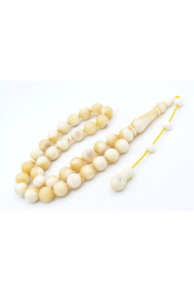 سبحة عظم الحوت الكبيرة بنموذج الكرة الأرضية المفصلية - 2