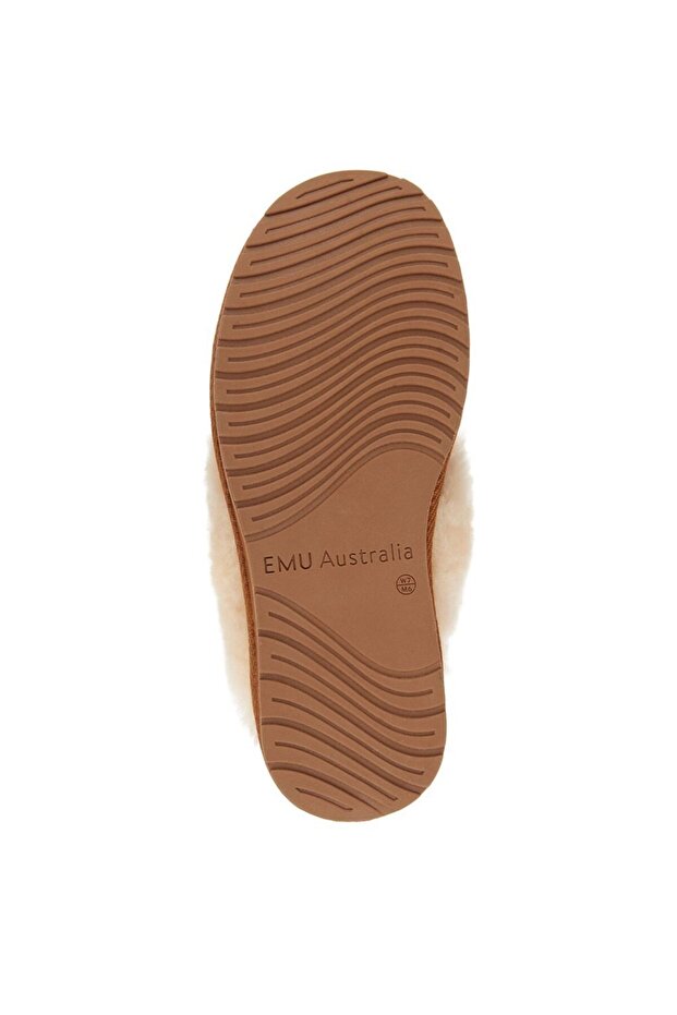 Jolie Chestnut - 2