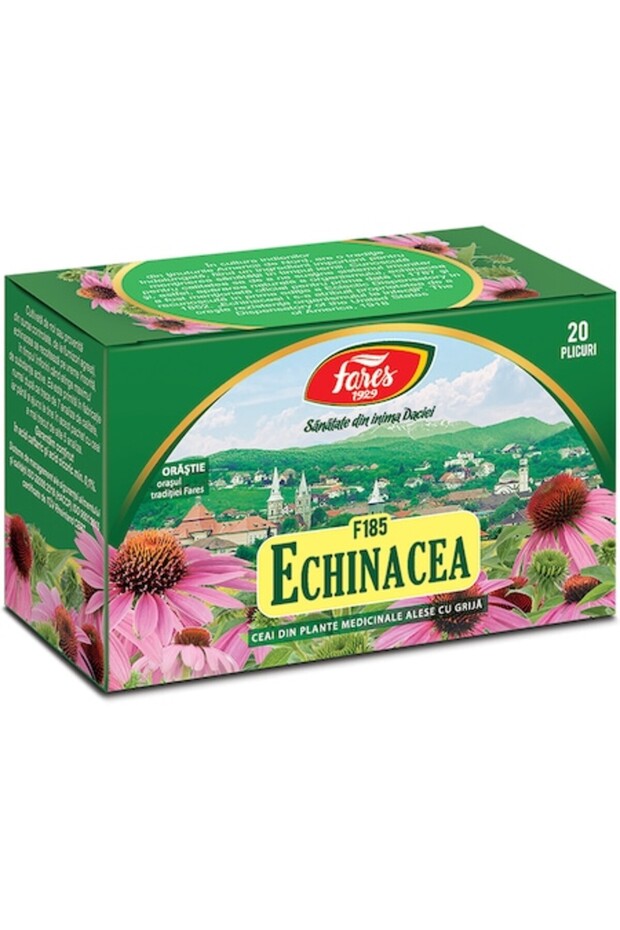 Echinacea Tea - 1