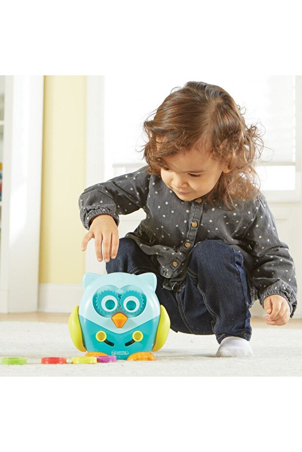 Interactive game - The clever owl - 7