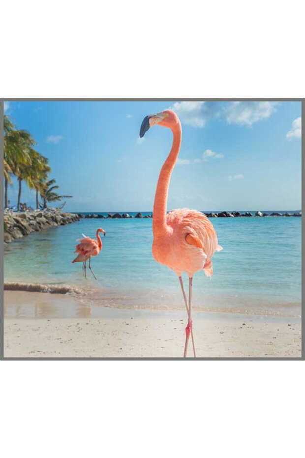 Proiector tip lanterna - cu animalute - 8