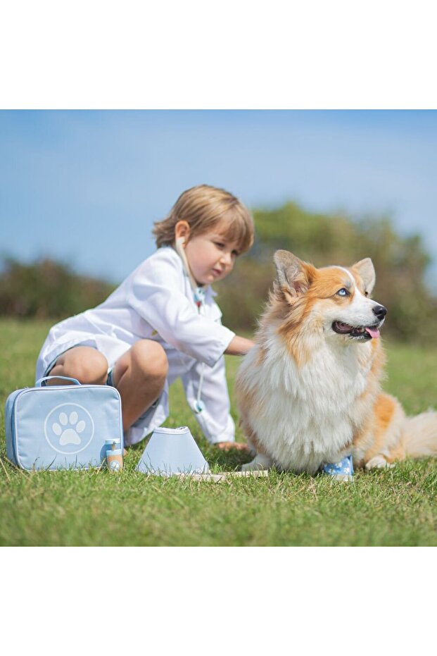 Setul micului veterinar - 3