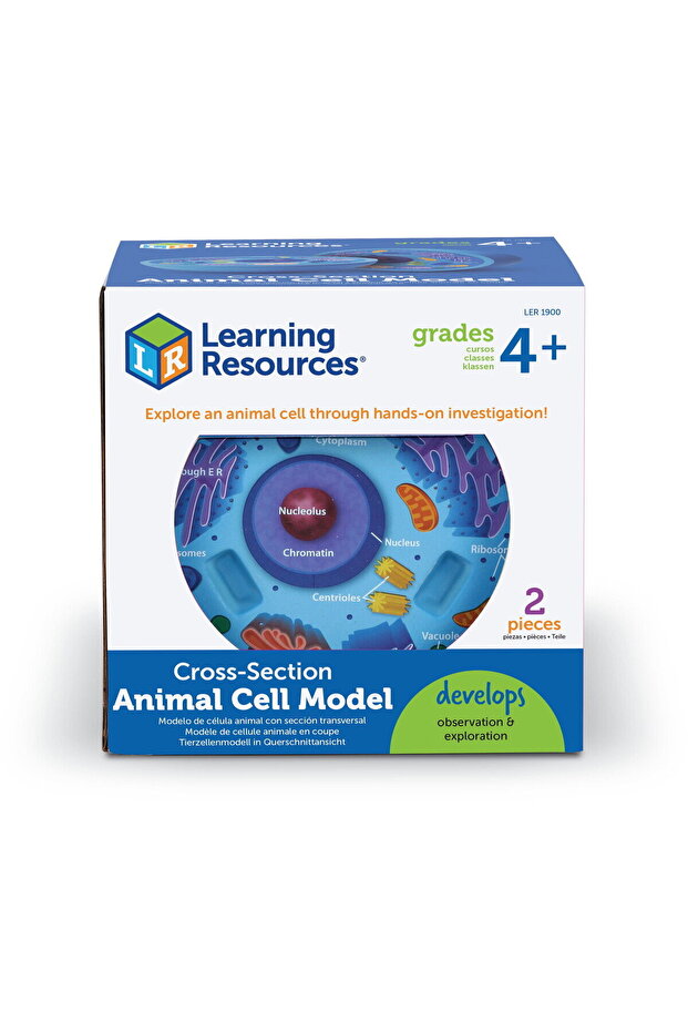 Animal cell section - 4