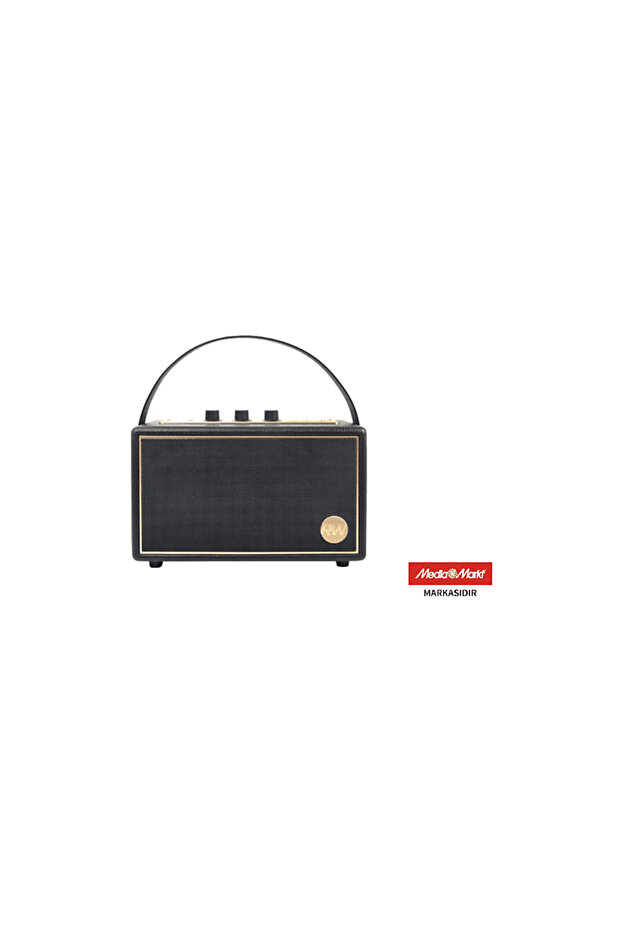 Iconic Vibe 3 - PPA 550-RW Robbie Williams Edition 60W Bluetooth Hoparlör