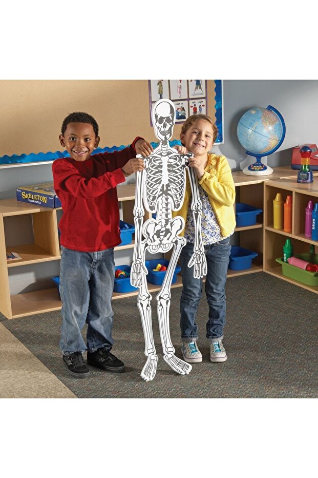 Floor puzzle - Skeleton - 6