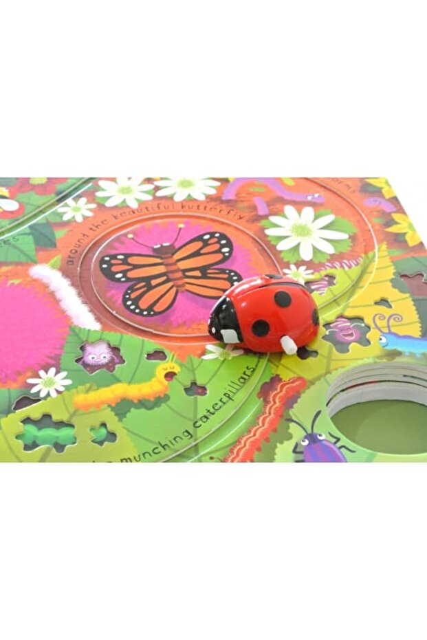 USB - Wind-Up Ladybird - 3