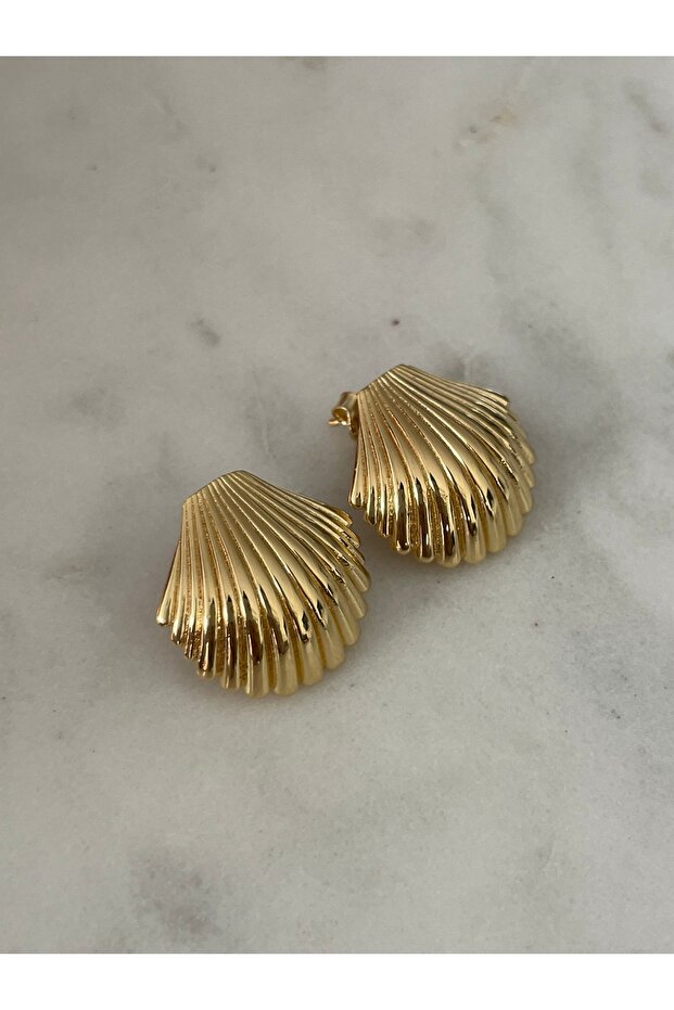 Deniz Kabuklu Küpe - 1