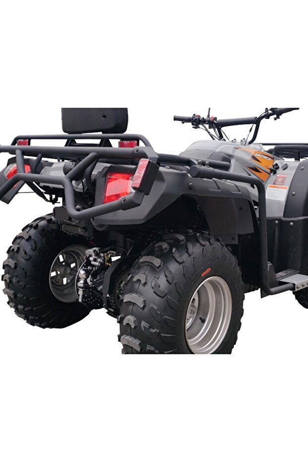 Hunter 300 Atv - 3