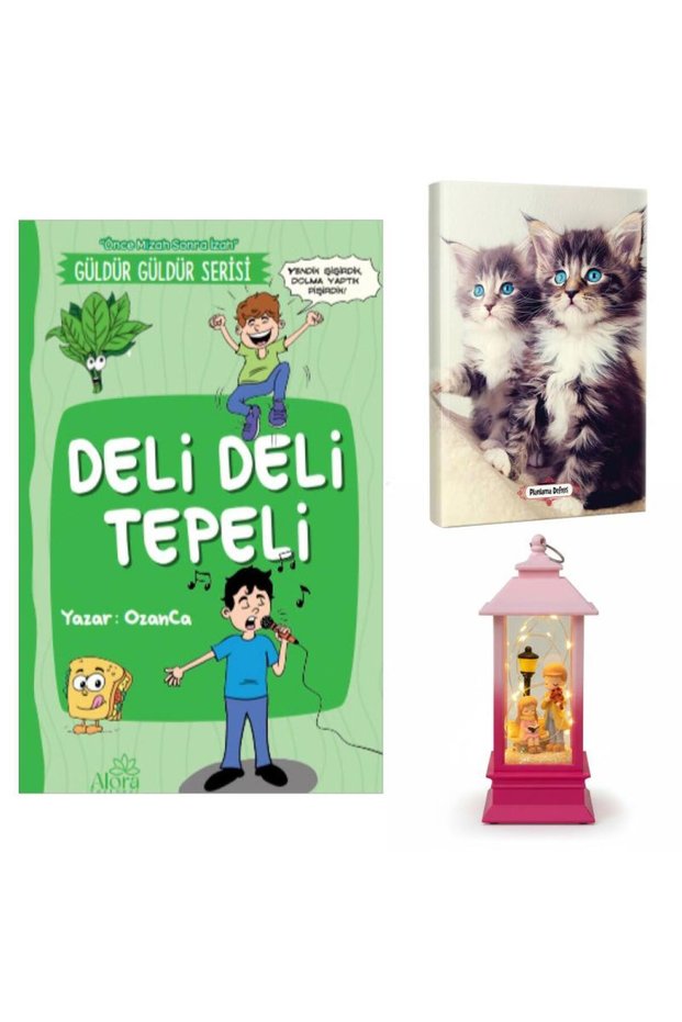 Deli Deli Tepeli - Maviş Kediler Planlama Defteri and Melodi ve Huzur Fener Tipi Işıklı Kar Küresi