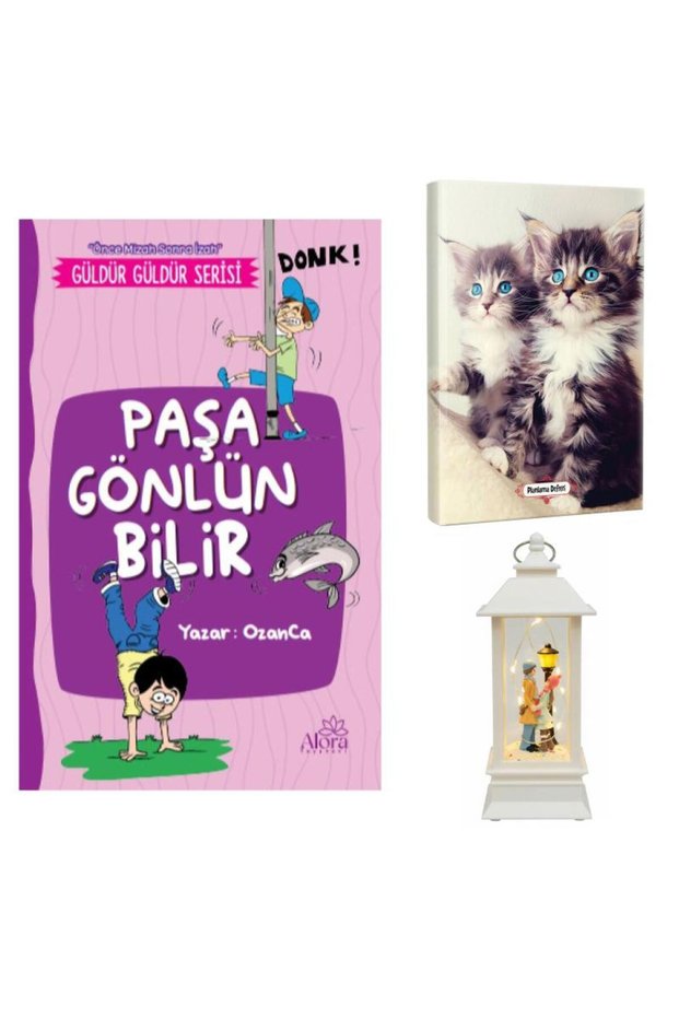 Paşa Gönlün Bilir - Maviş Kediler Planning Notebook and Street Lamp Love Lantern Type Lighted Snow Globe