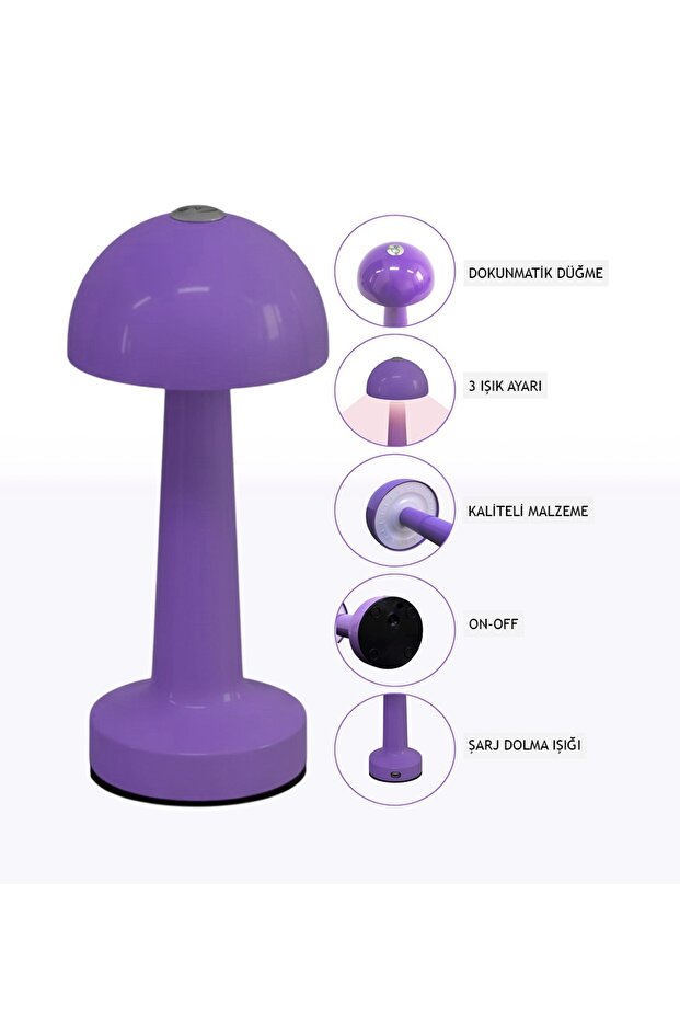 Mantar Masa Lambası - 1